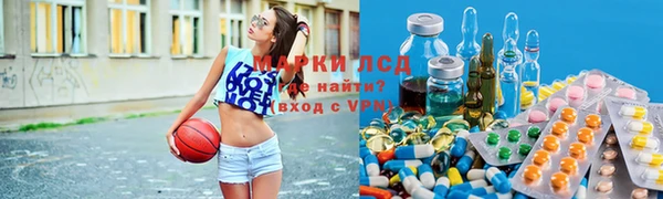 сатива Аркадак