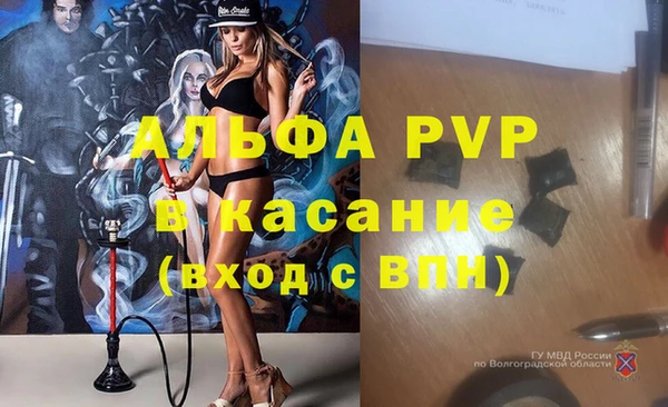 сатива Аркадак