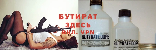 сатива Аркадак