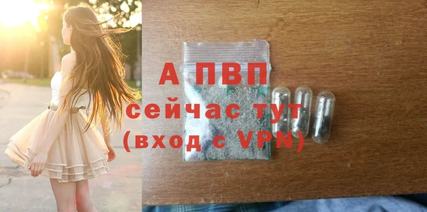 сатива Аркадак
