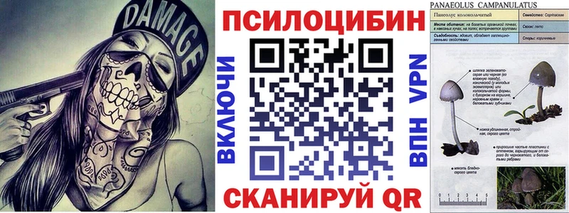 Псилоцибиновые грибы Psilocybine cubensis  Серафимович 